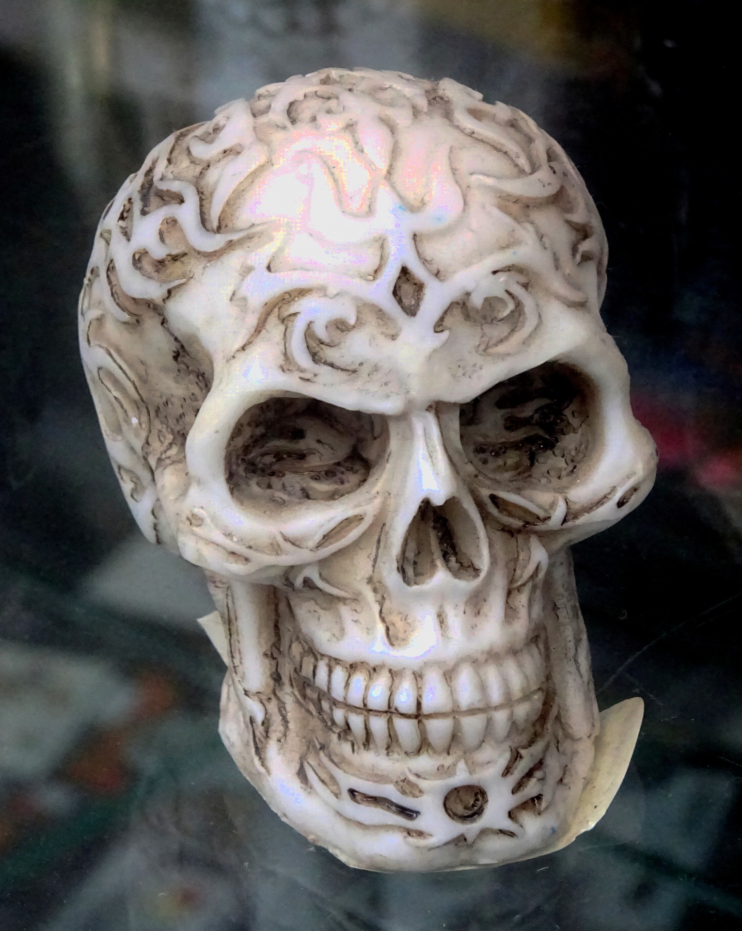 scary skull skulls free photo