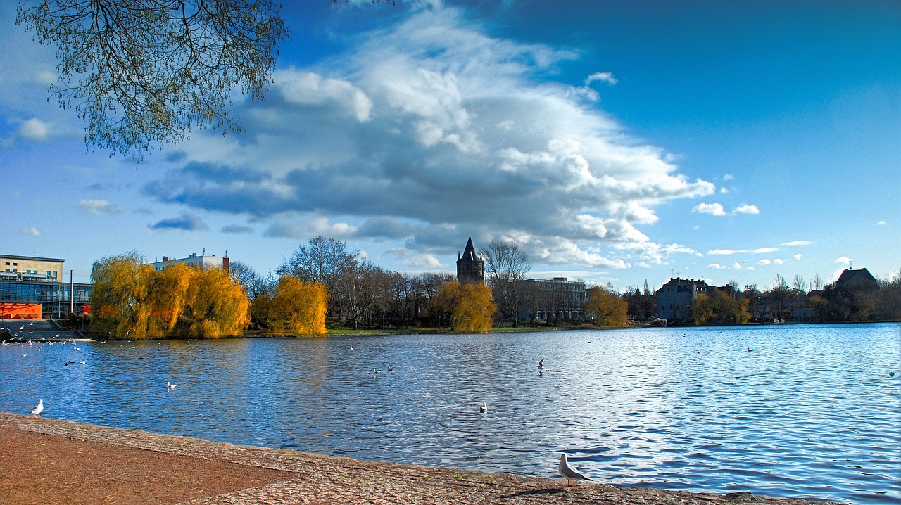 gotthard pond  merseburg  pond free photo