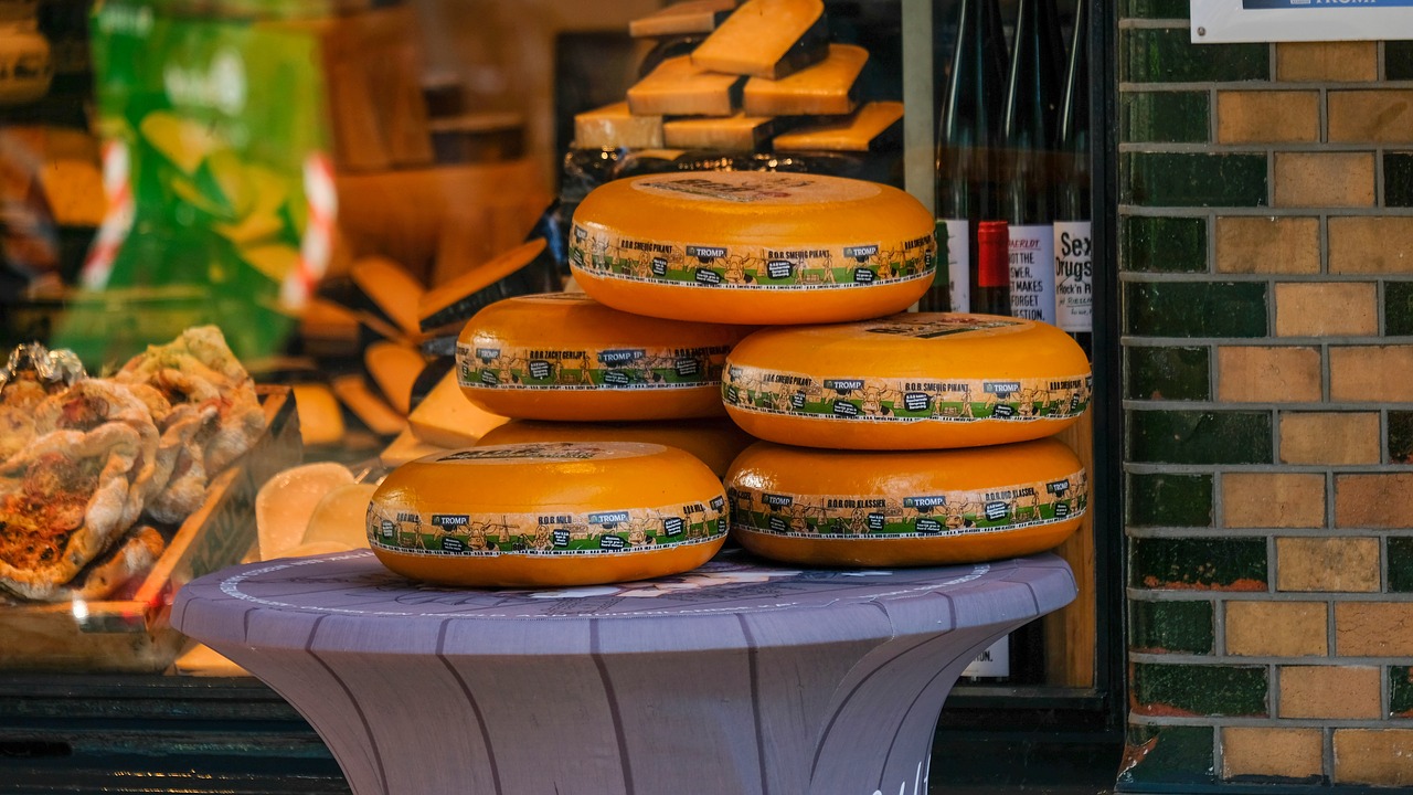 gouda cheese amsterdam free photo