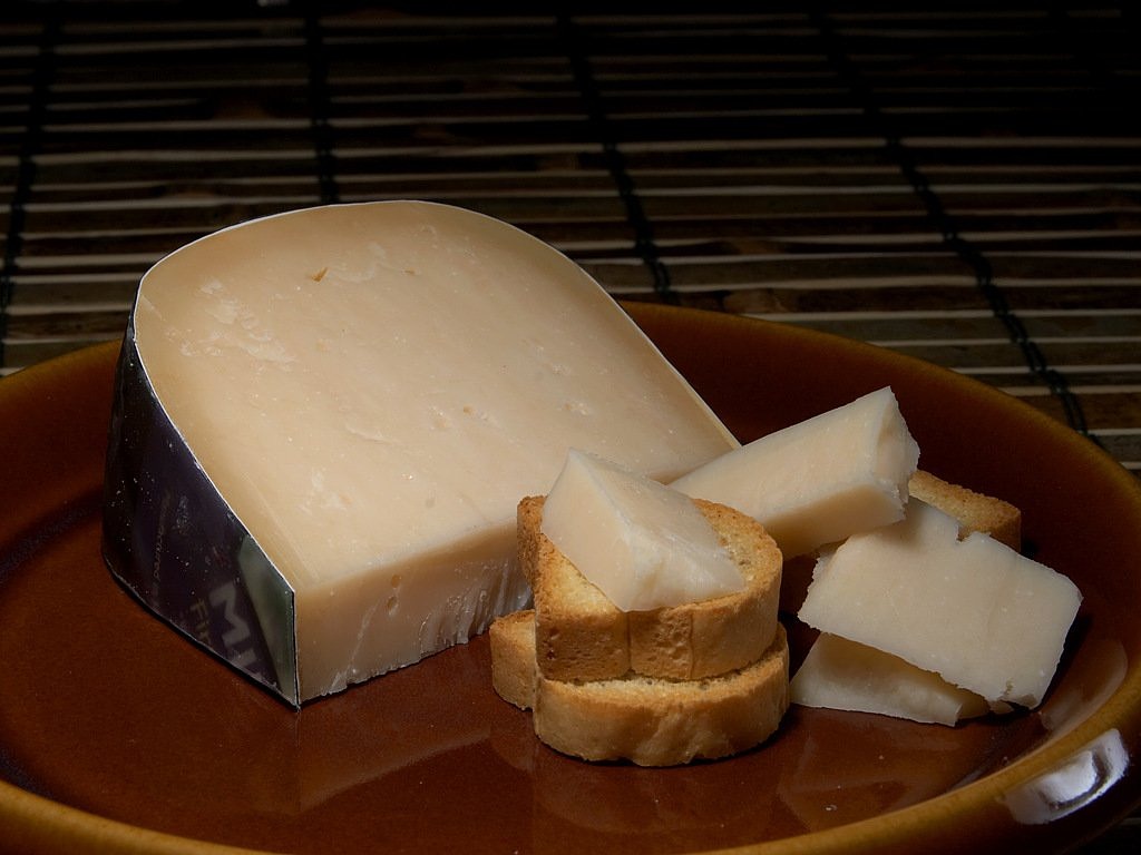 gouda cheese milk product free photo