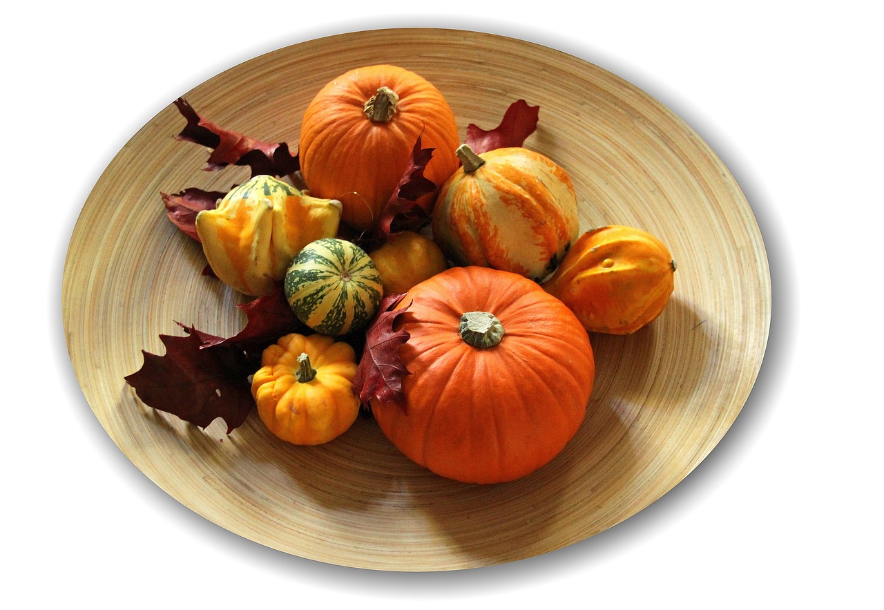 gourd autumn decoration free photo