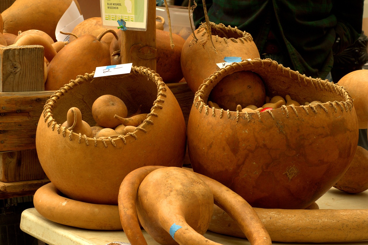 gourd baskets  harvest  gourds free photo
