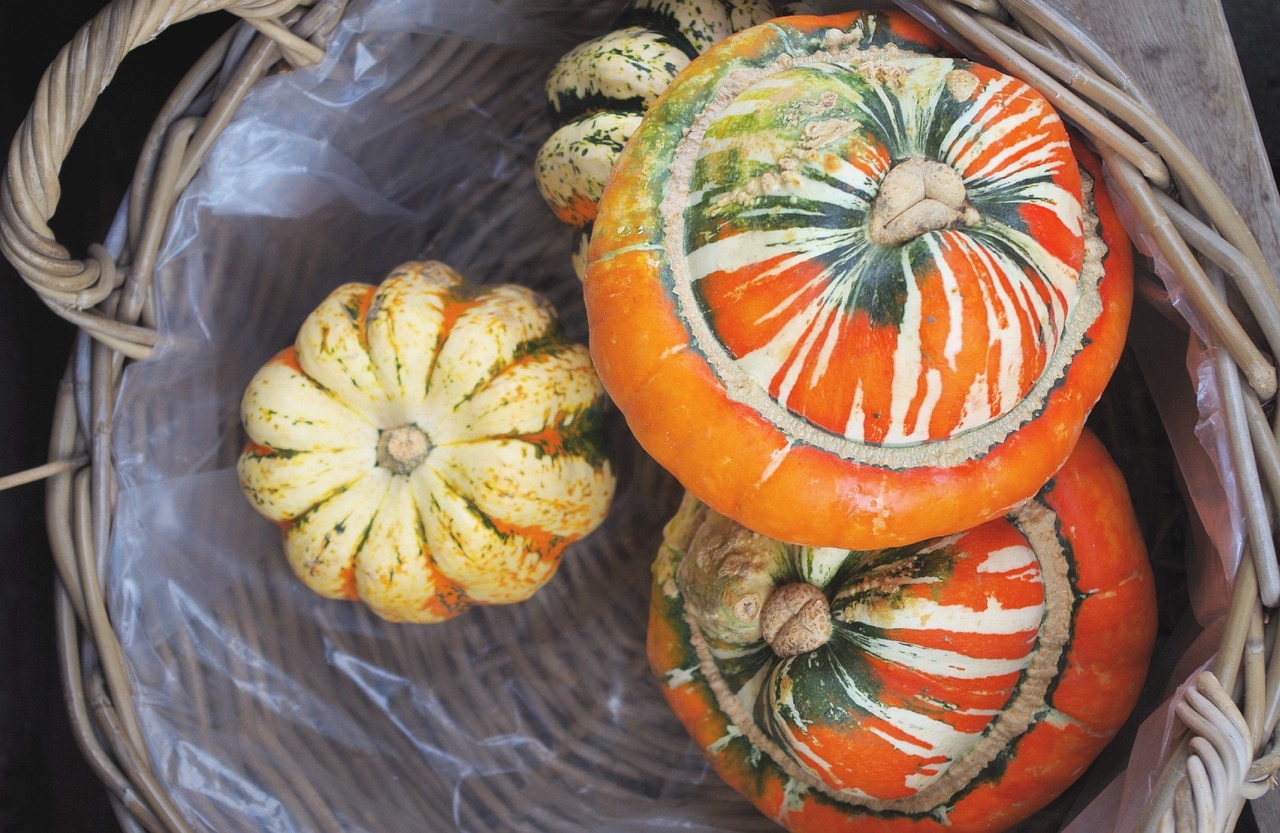 gourds vegetable basket free photo