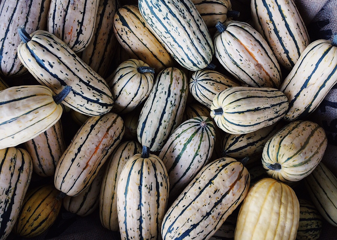 gourds fall autumn free photo