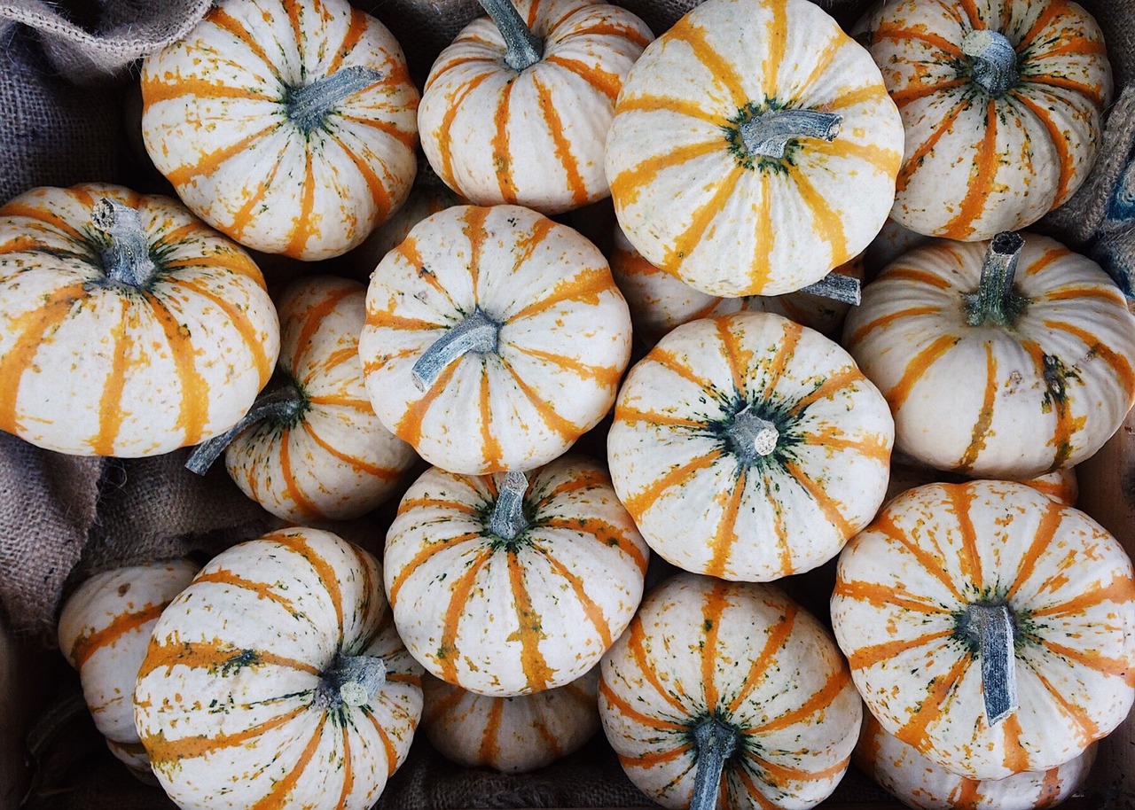 gourds fall autumn free photo