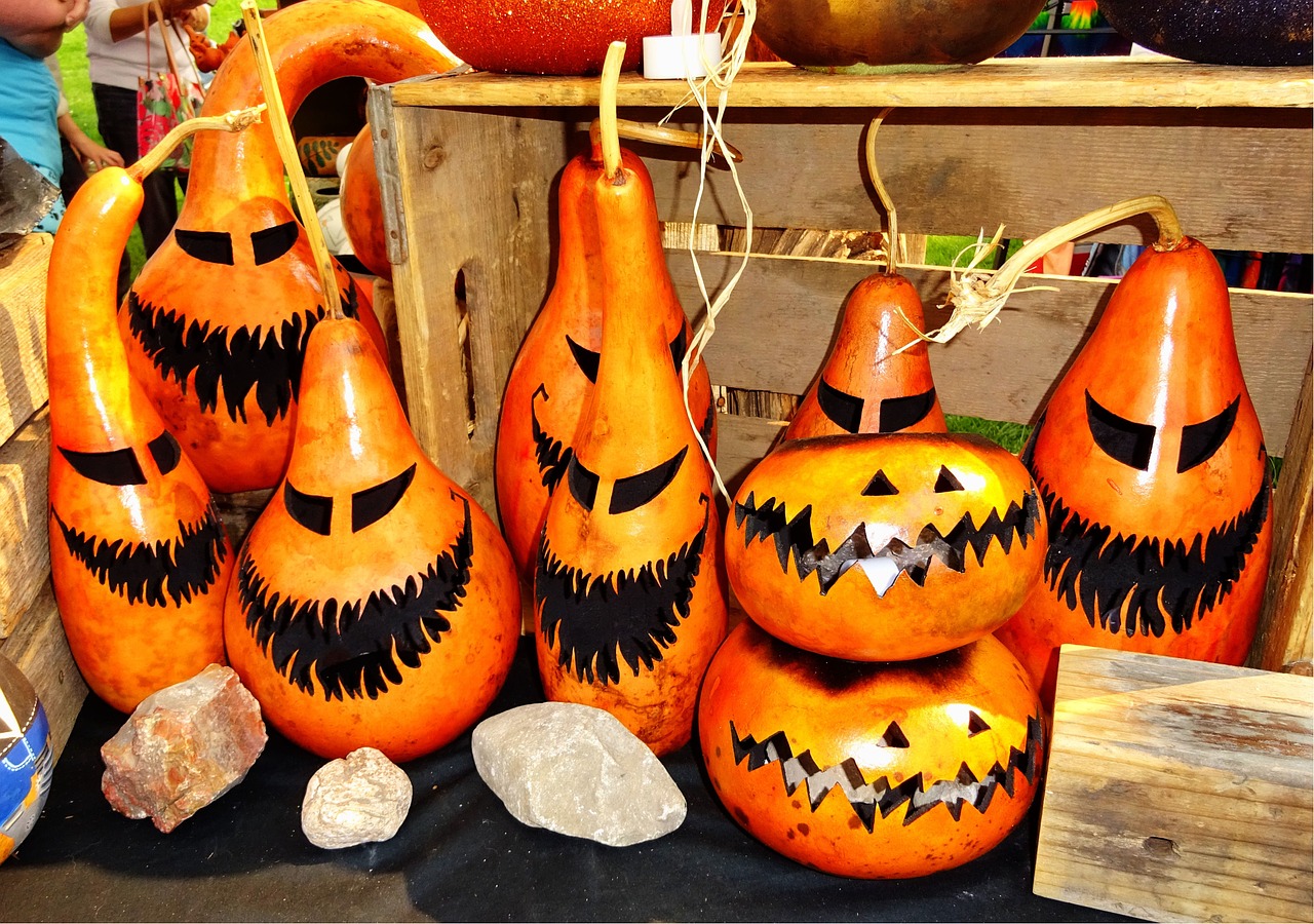 gourds halloween autumn free photo