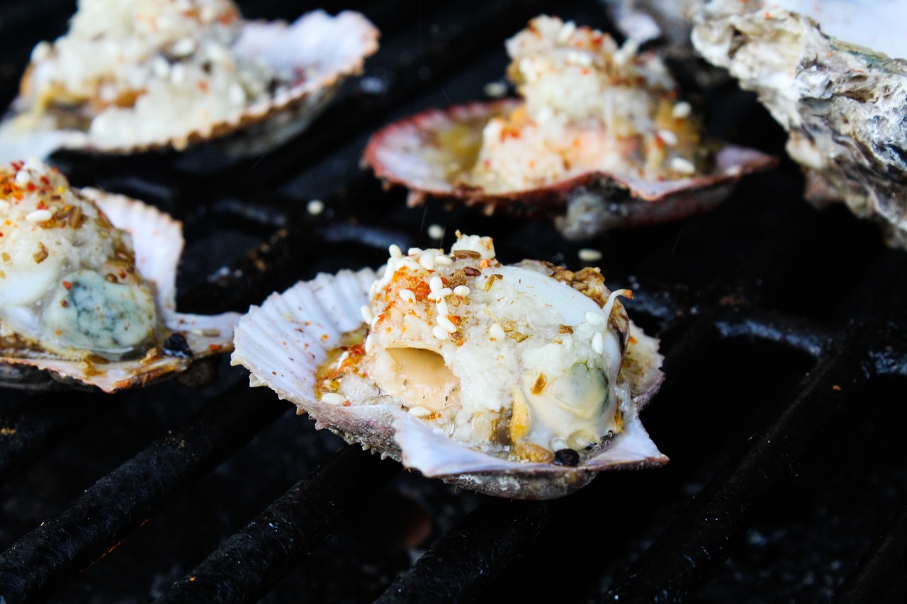 gourmet  barbecue  oysters free photo