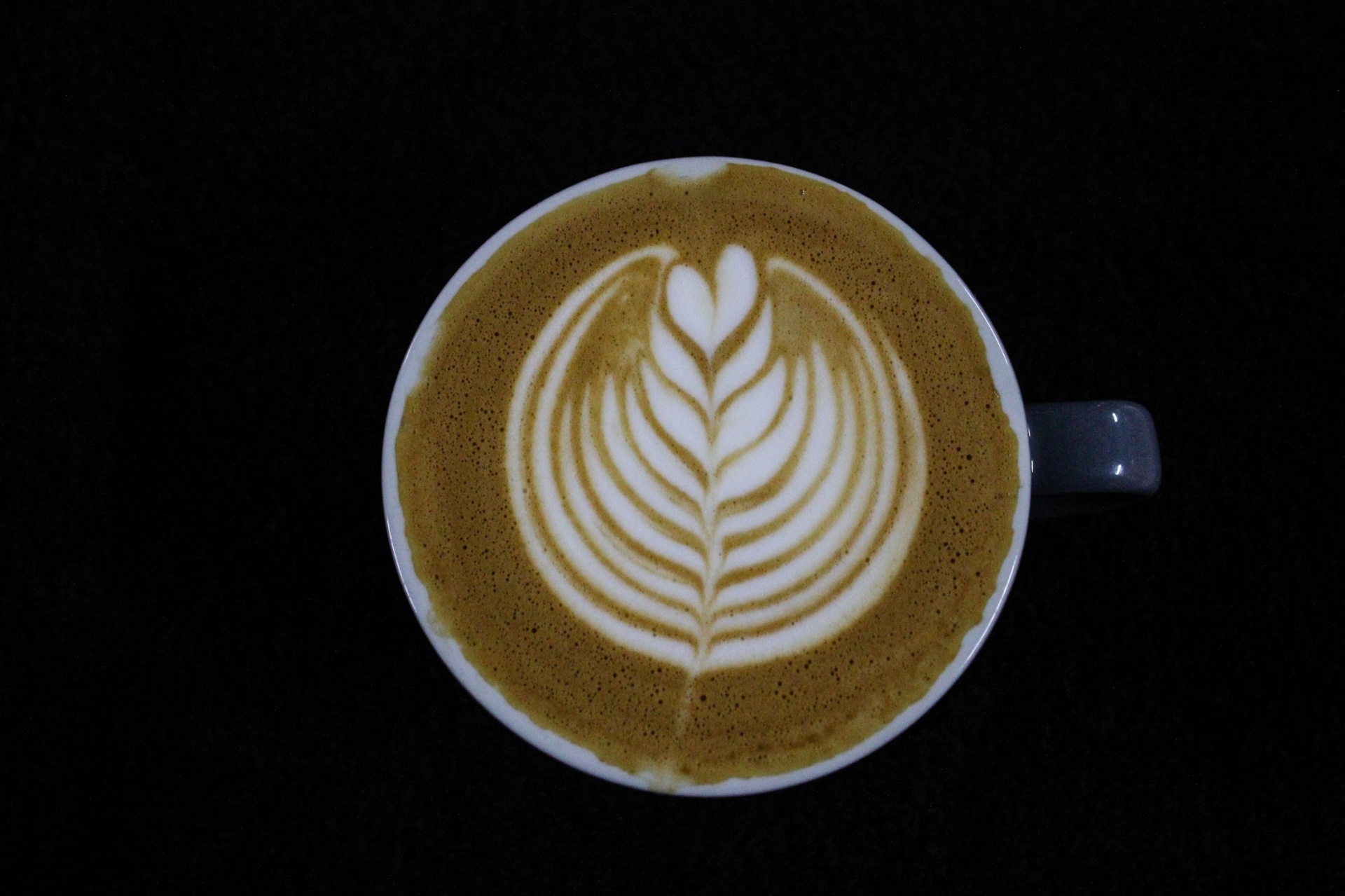 latte tulip art free photo