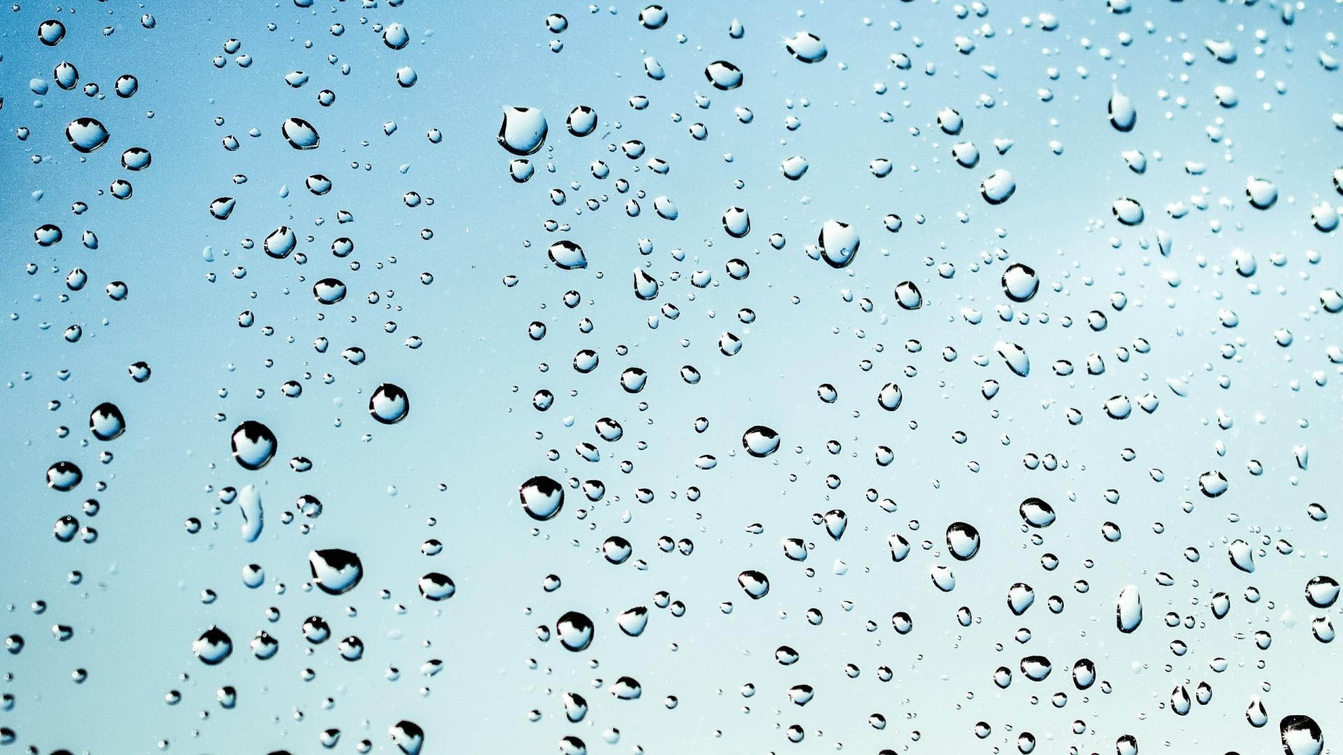 windows drops raindrops free photo