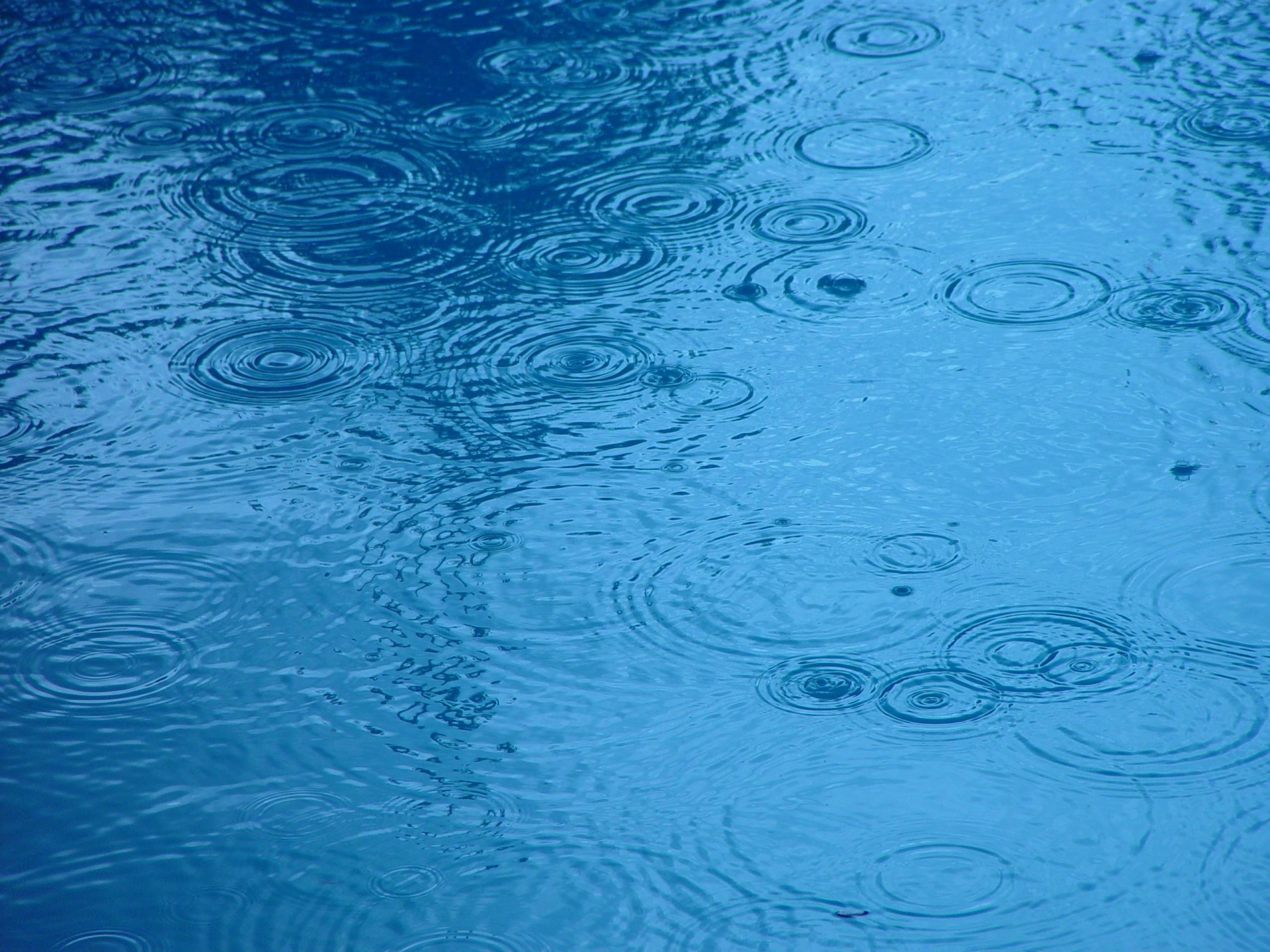 raindrops water blue free photo