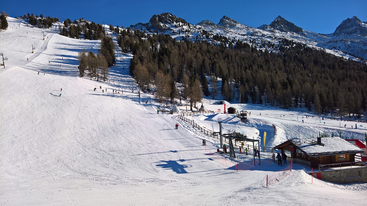 grächen hannigalp  winter  ski run free photo