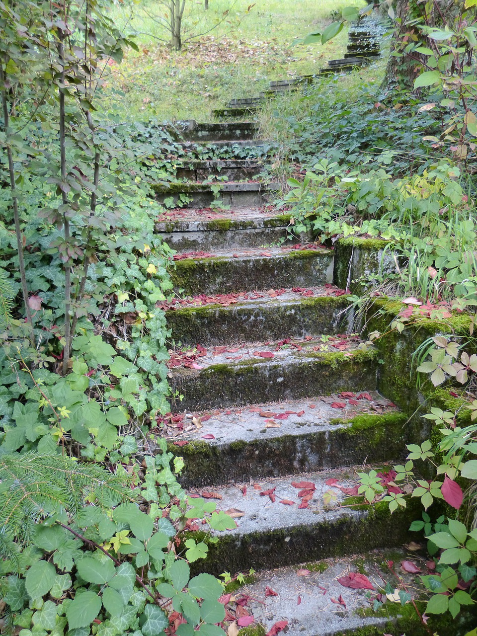 gradually stairs stone free photo