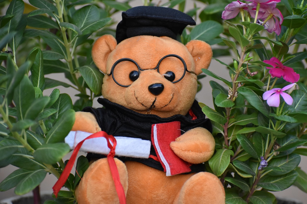 graduated teddy bear gift free photo