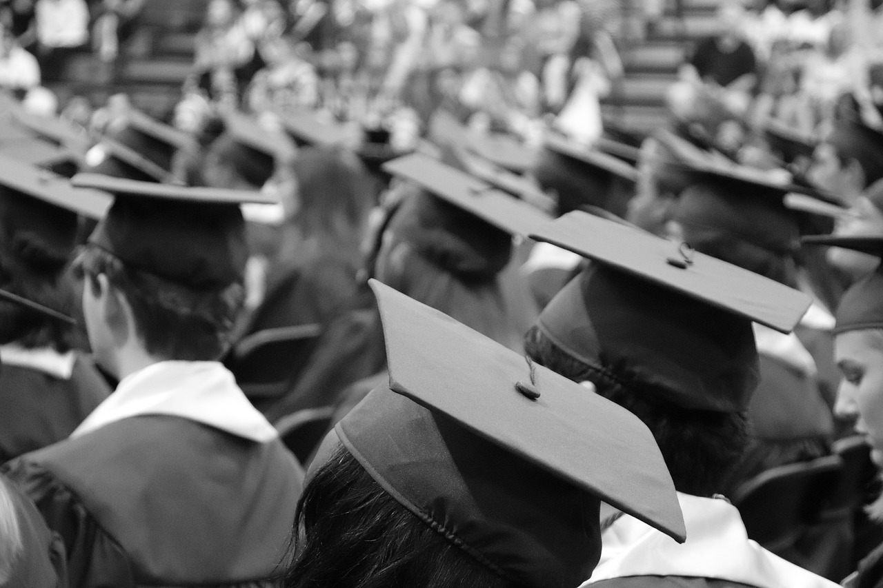graduation cap  graduation  cap free photo