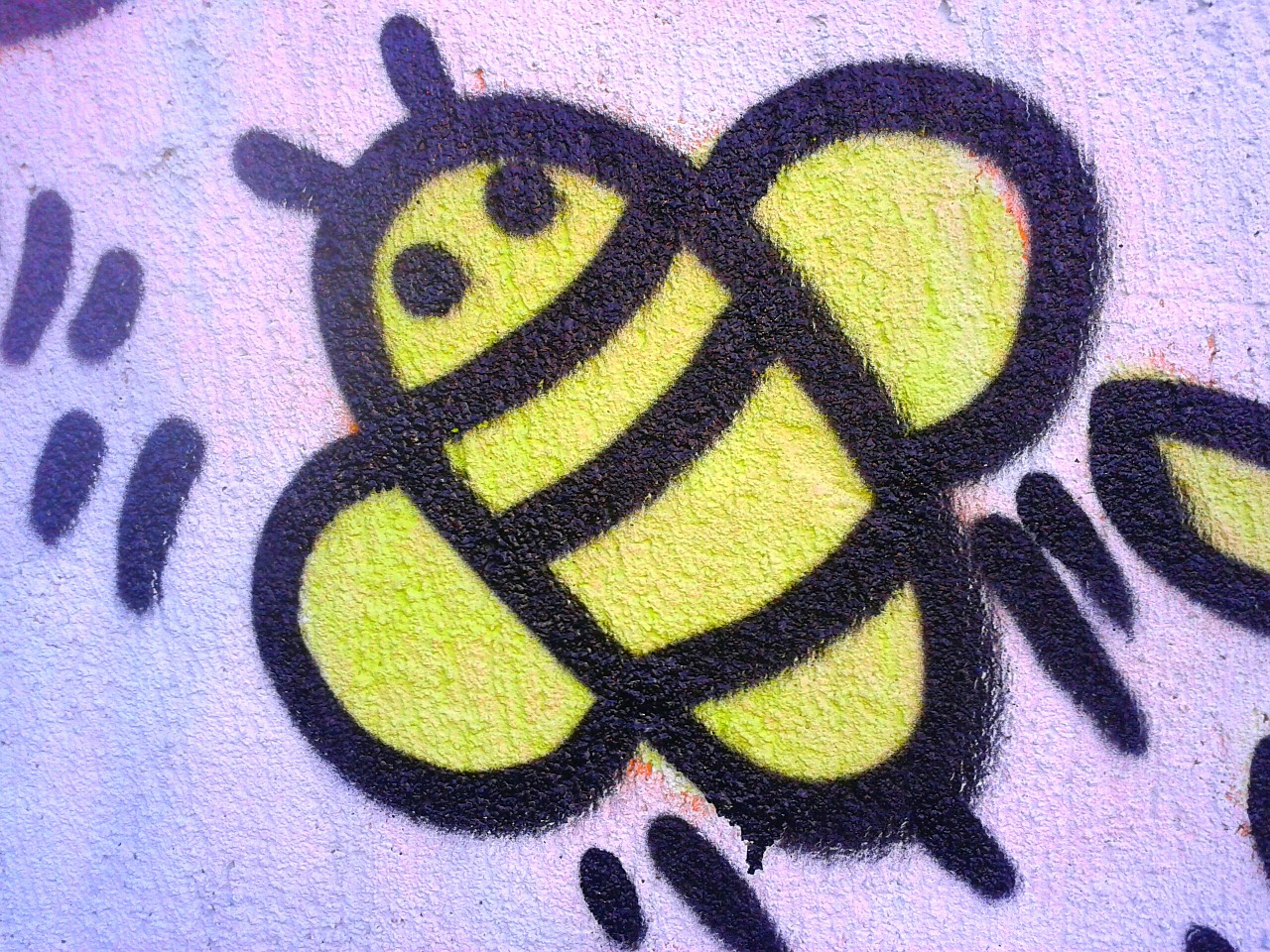 graffiti osa bee free photo