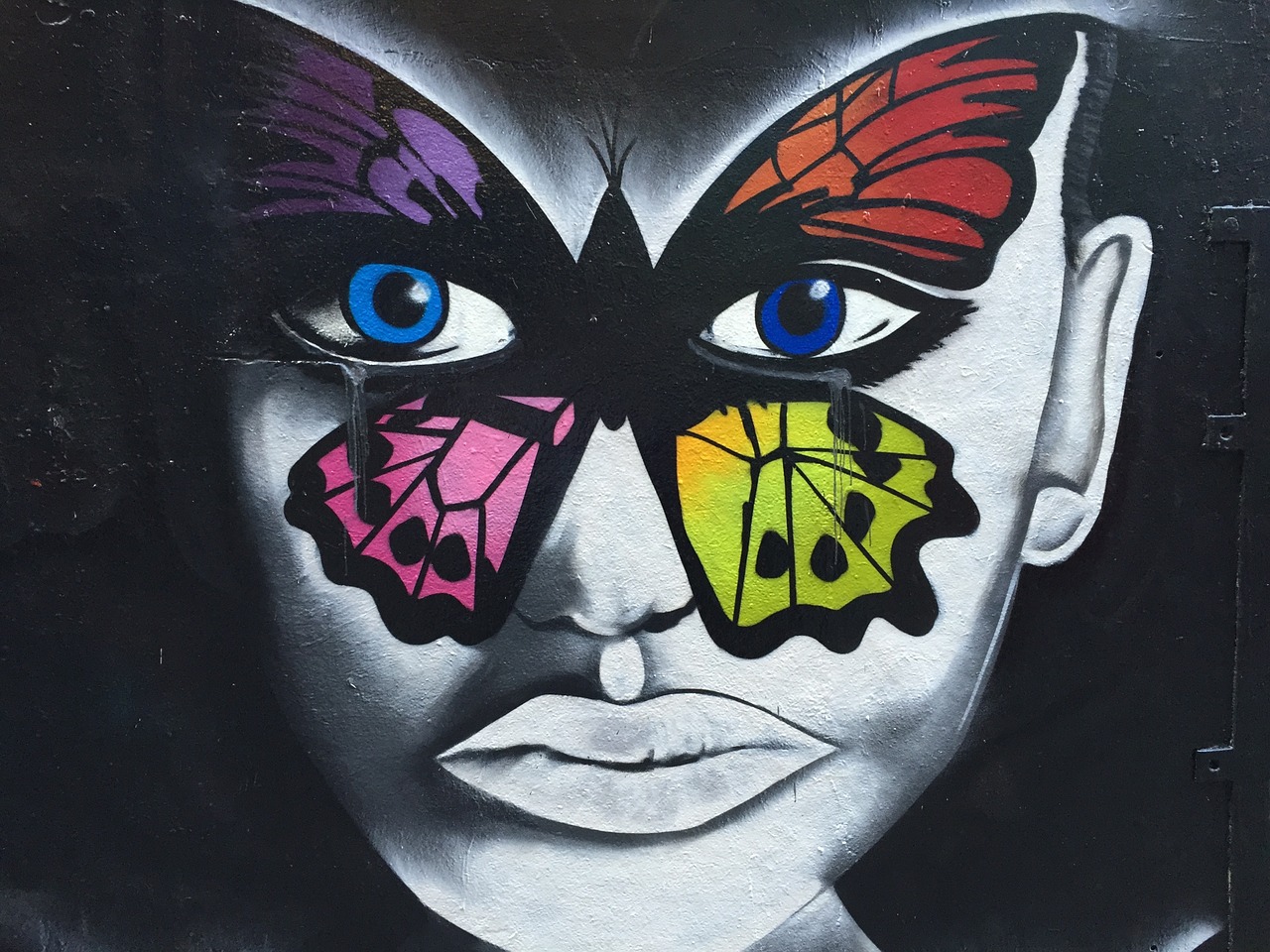 graffiti butterfly melbourne free photo