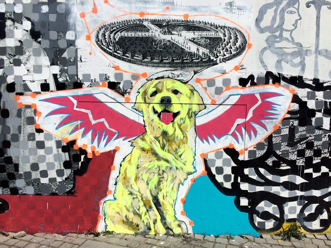 graffiti dog copenhagen free photo