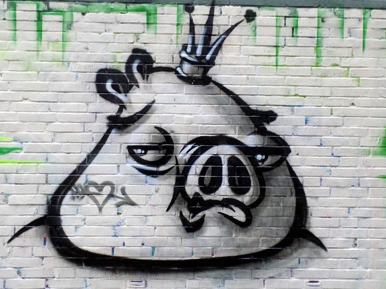 graffiti art pig free photo