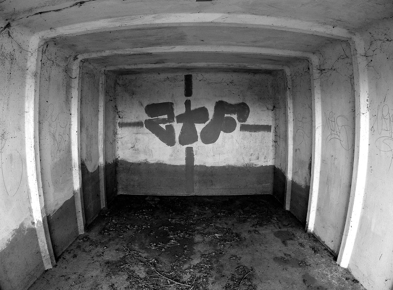 graffiti black white free photo