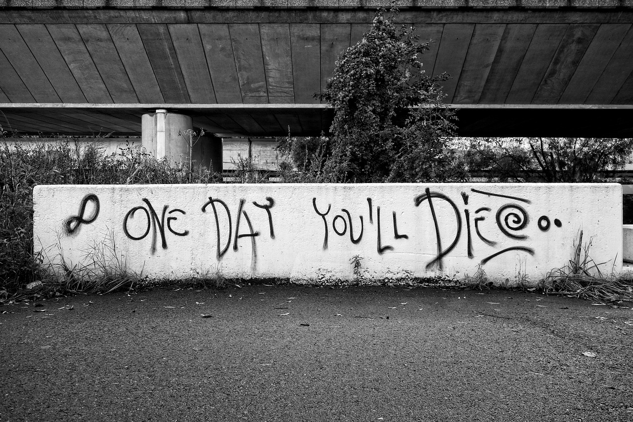 graffiti text wall free photo