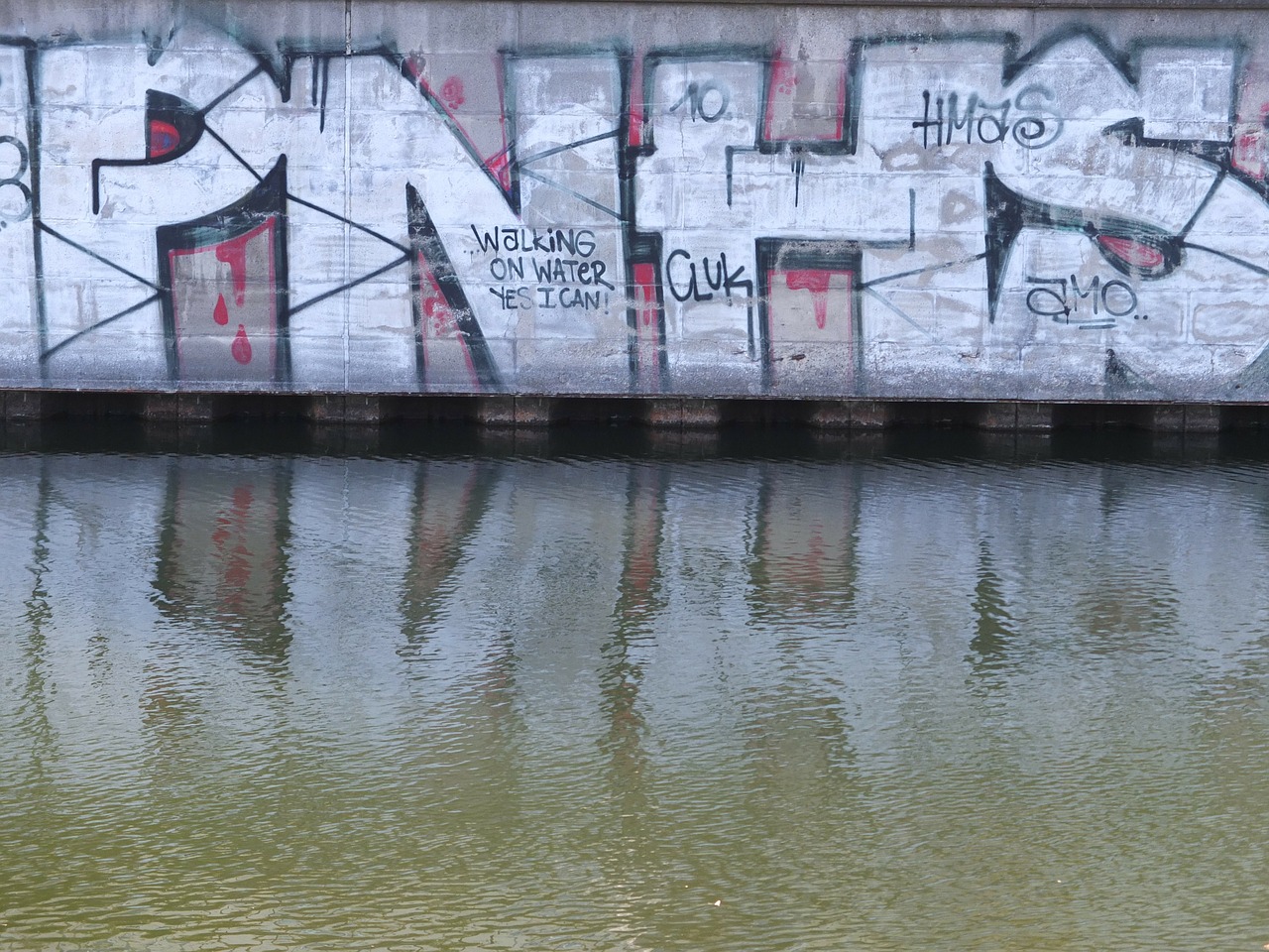 graffiti water mirroring free photo