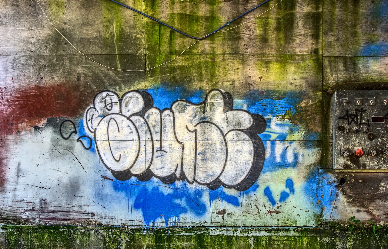 graffiti  wall  art free photo