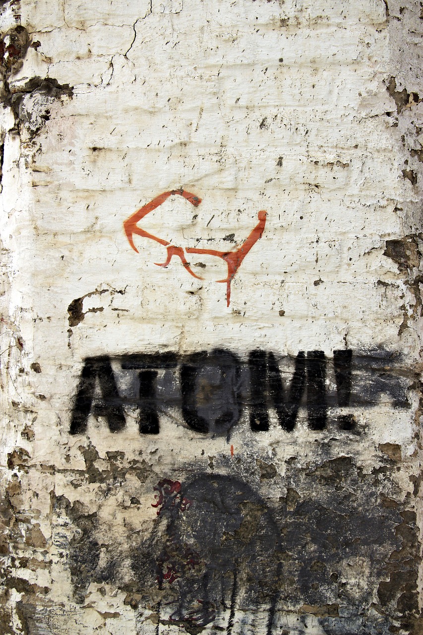 graffiti  stencil  atom free photo