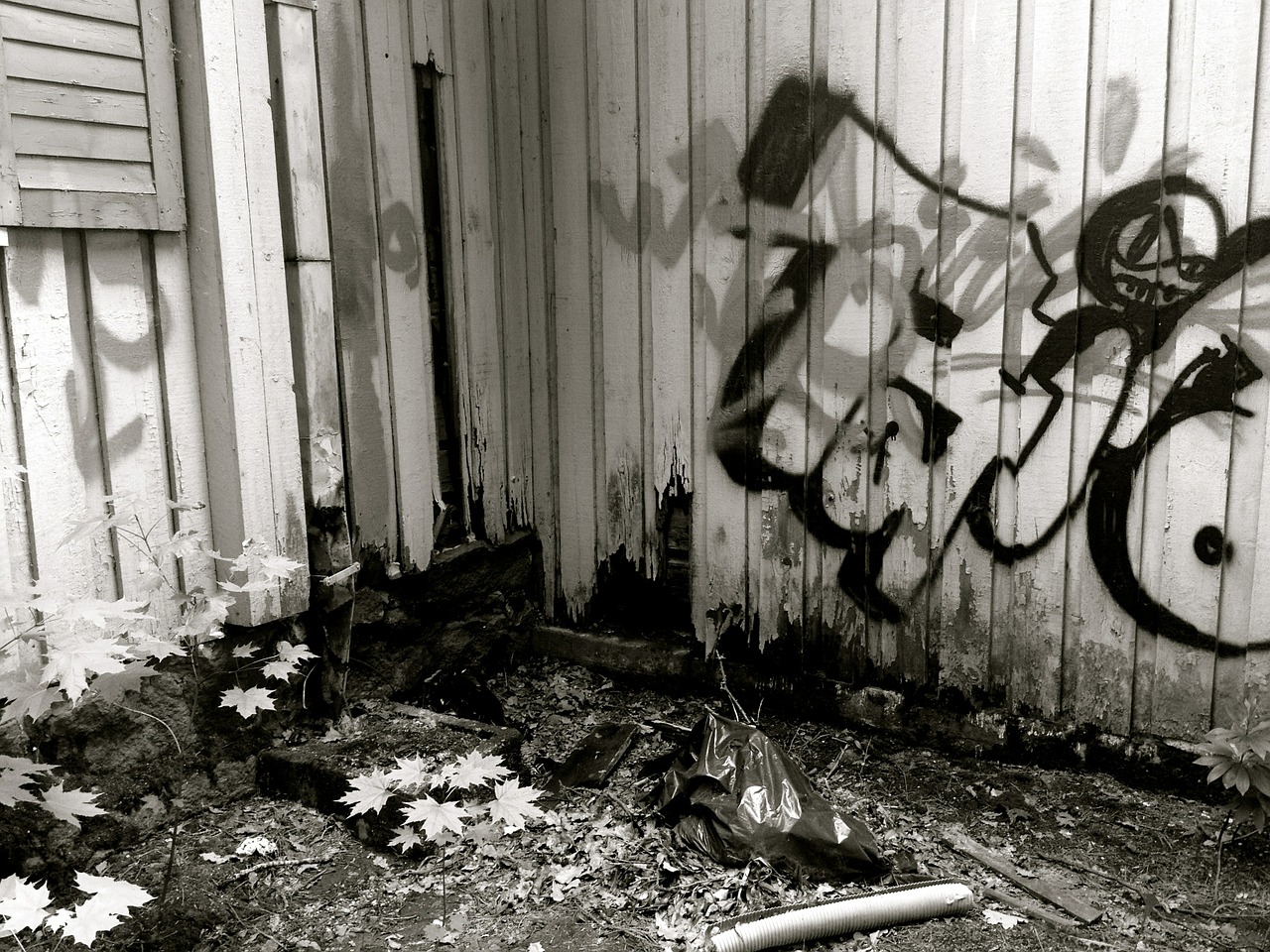 graffiti art drawing free photo