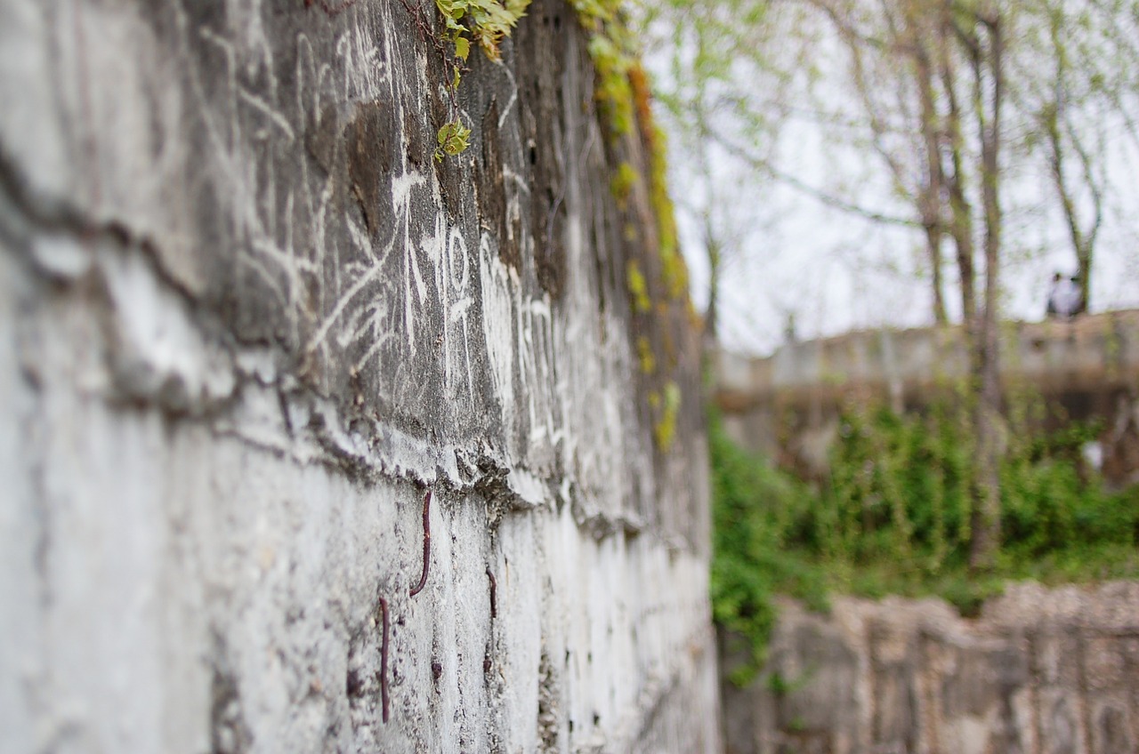 graffiti wall seonyudo free photo