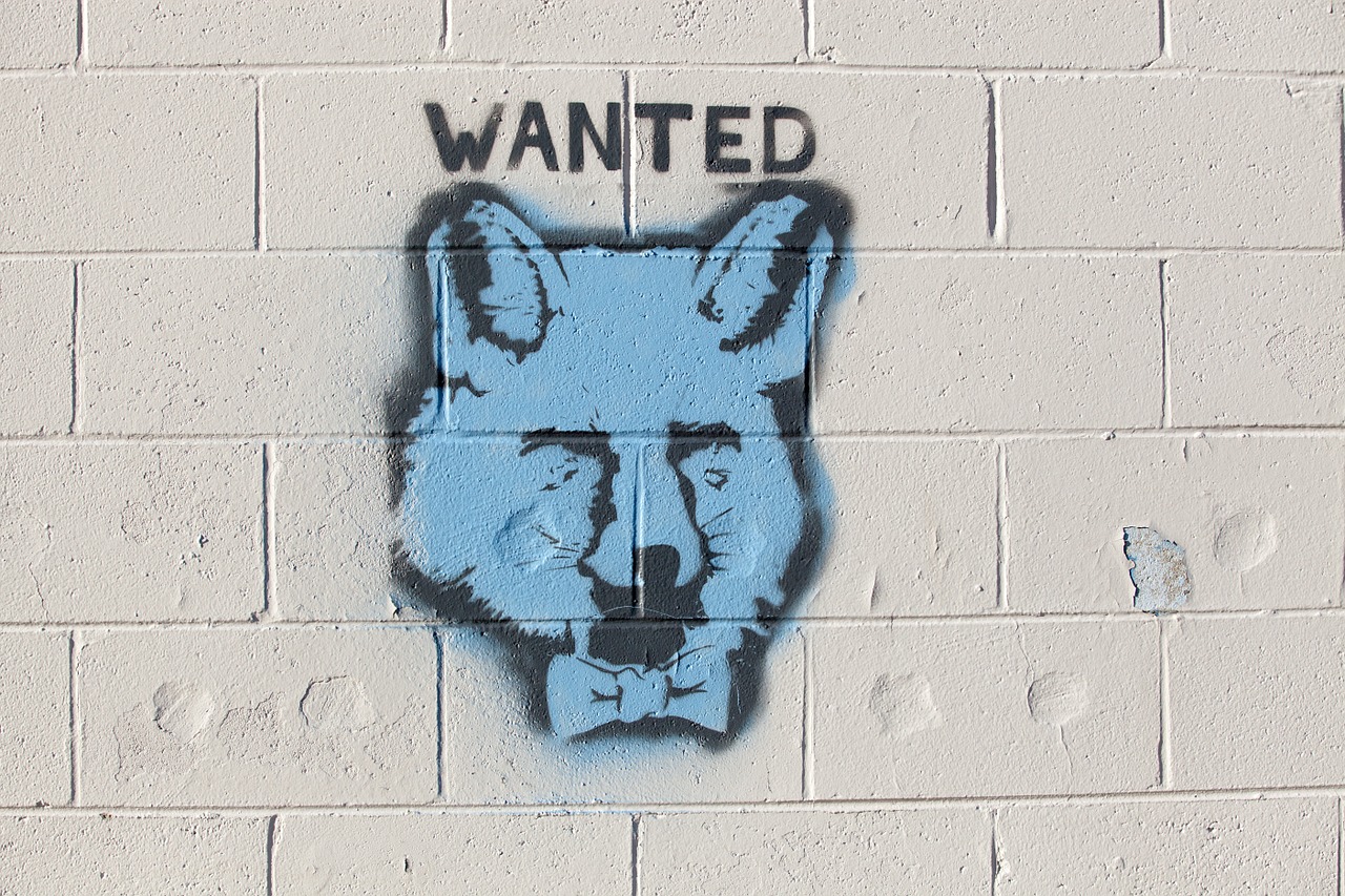 graffiti fox wanted free photo