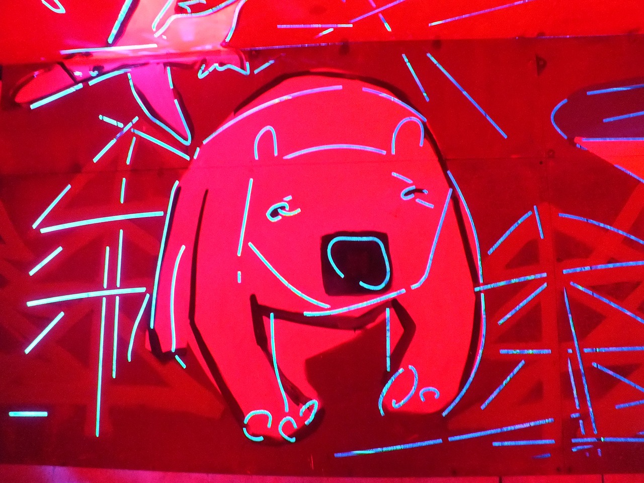 graffiti neon the bear free photo