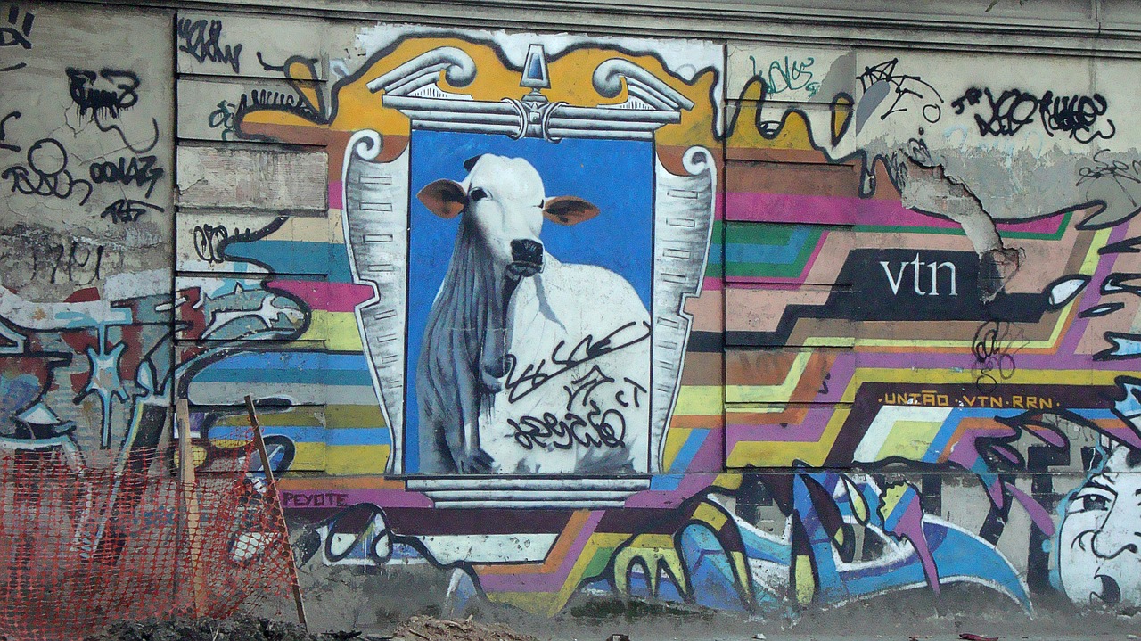 graffiti cow rio free photo