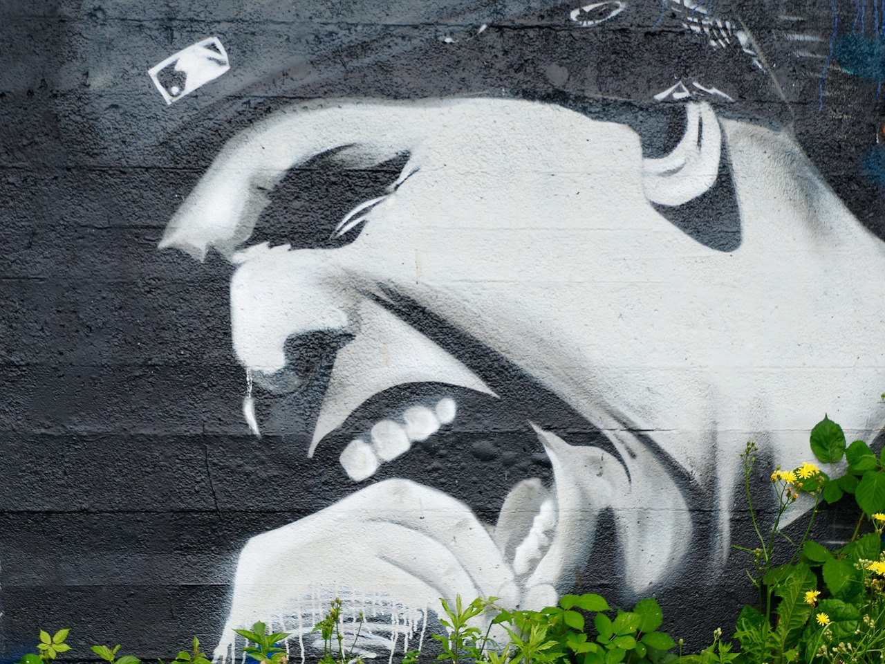 graffiti wall face free photo