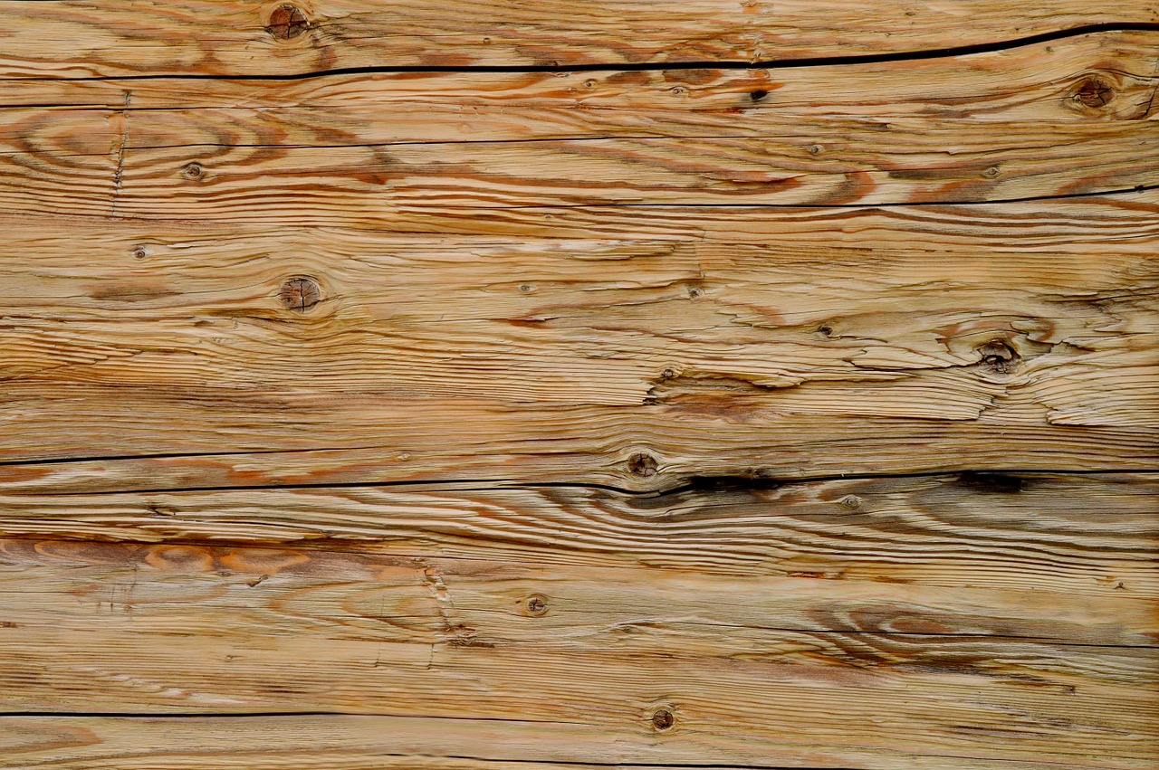 texture wood grain grain free photo