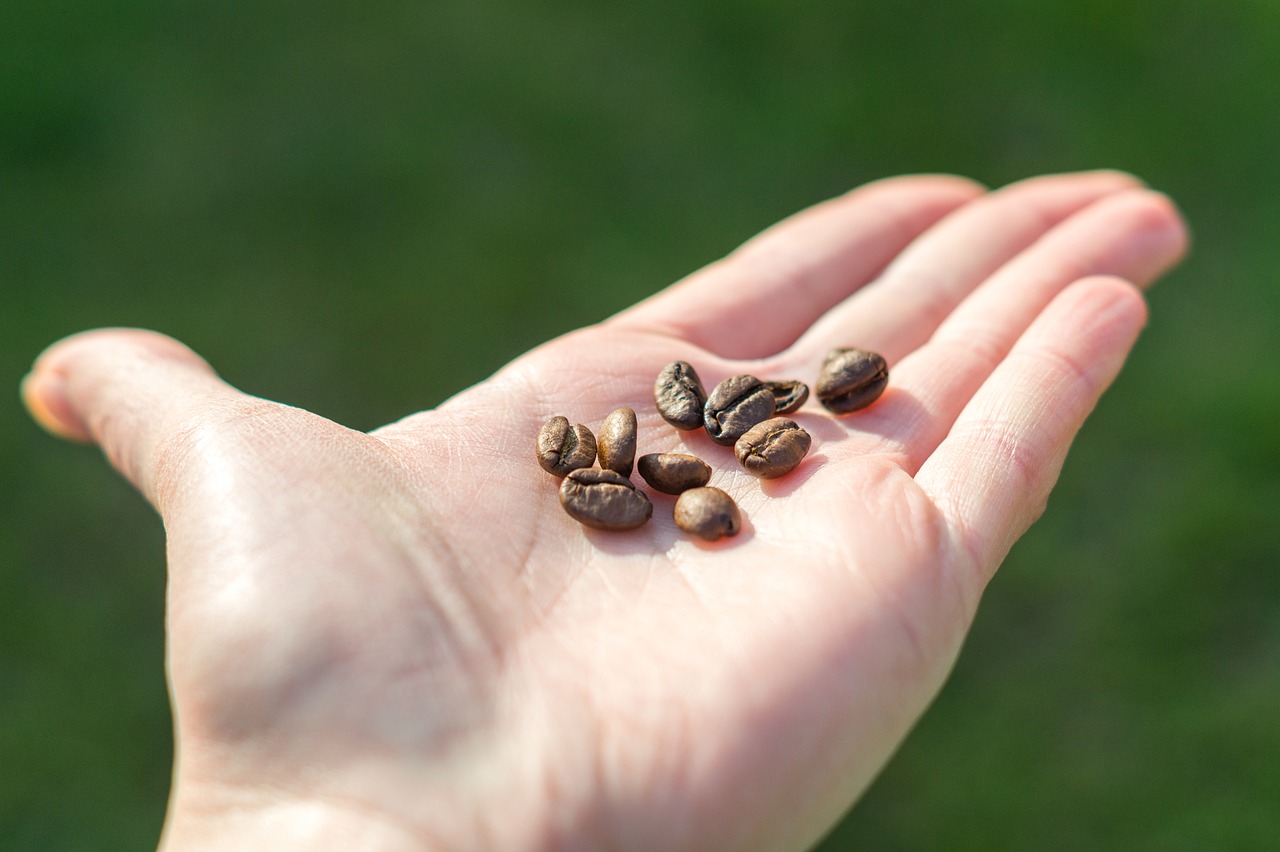 grain coffee drink free photo