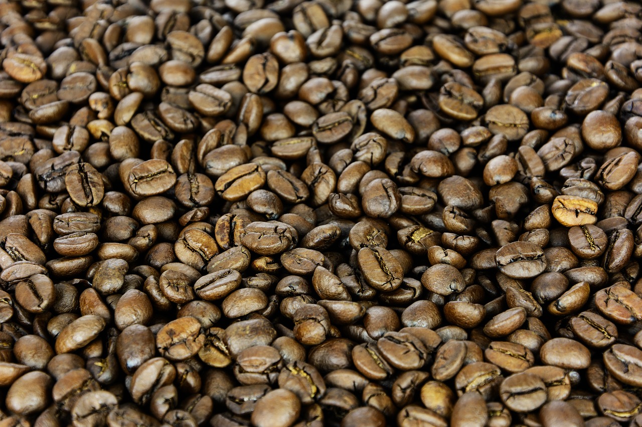 grain coffee  the background  seed free photo