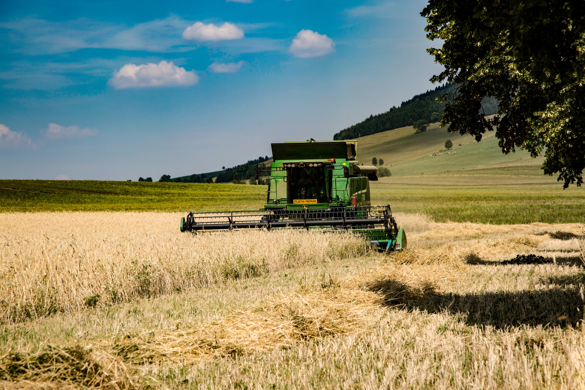 grain soil yield free photo