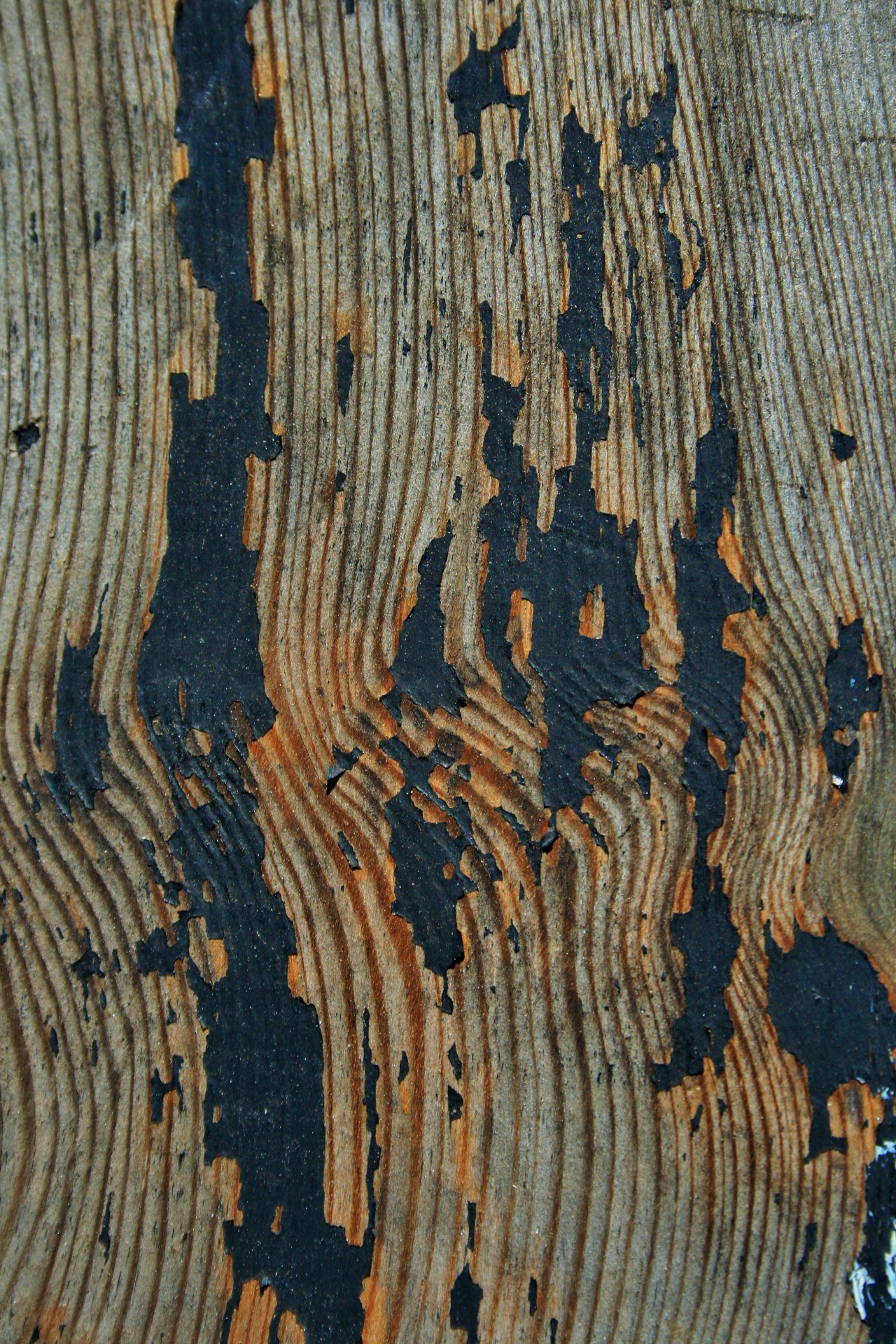 wood weathered grain free photo