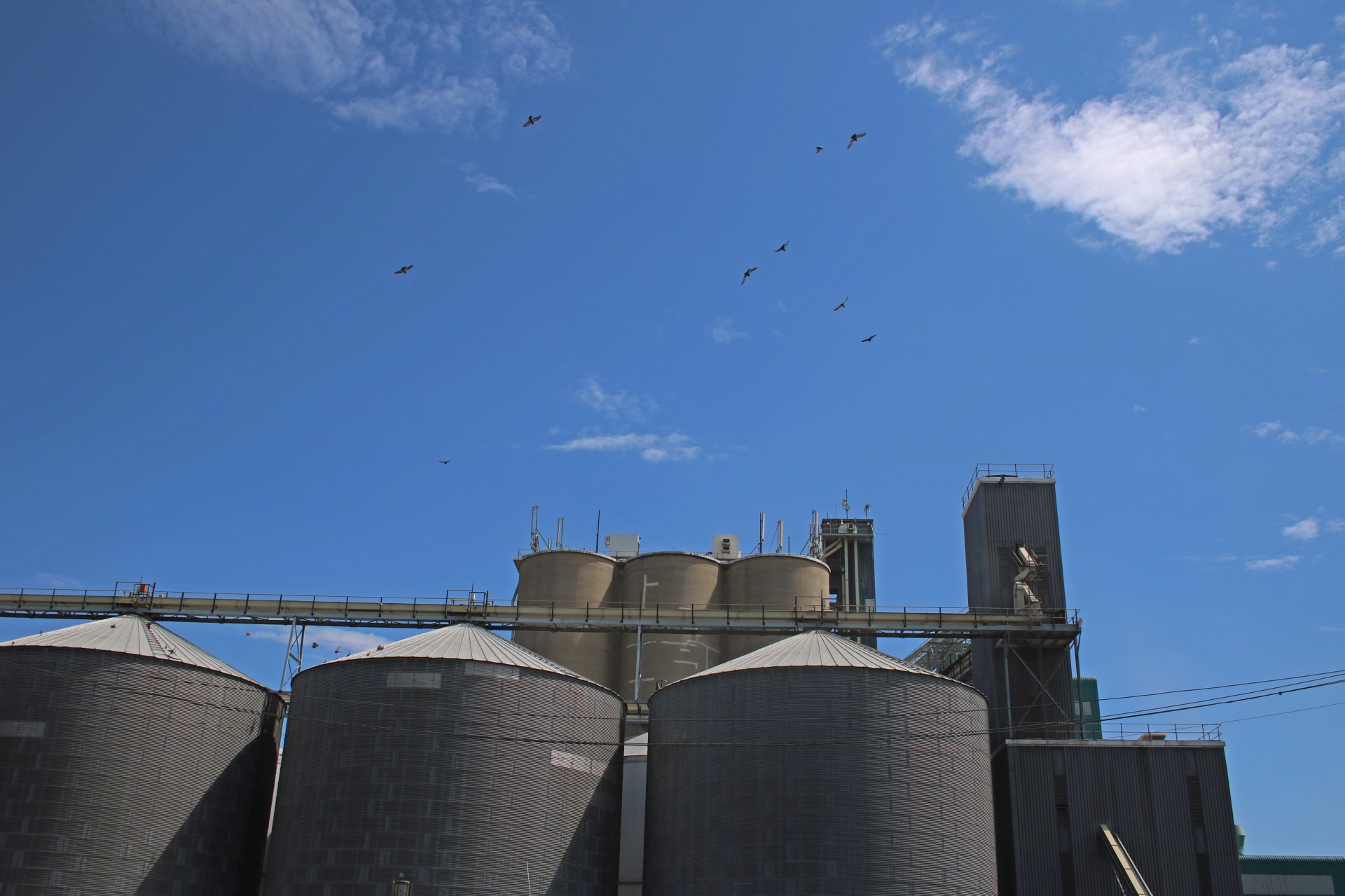 silos granary storage free photo