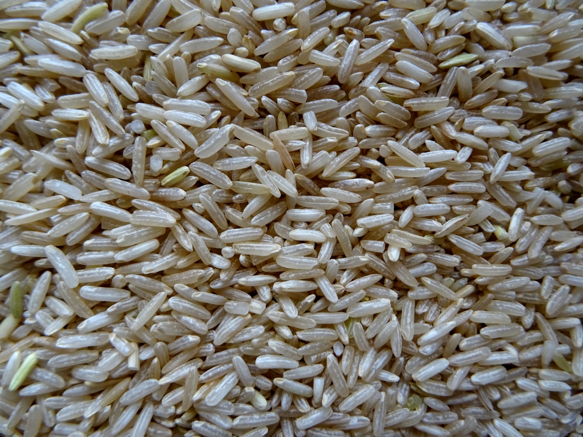backgrounds rice grain free photo