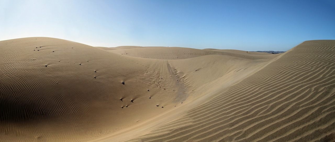 dunes desert gran canaria free photo