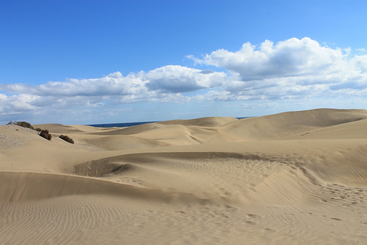 gran canaria maspalomas dunes free photo
