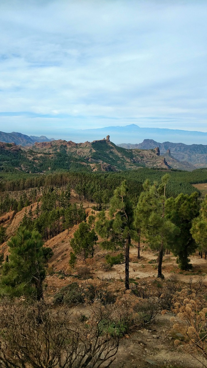 gran canaria  spain  sea free photo