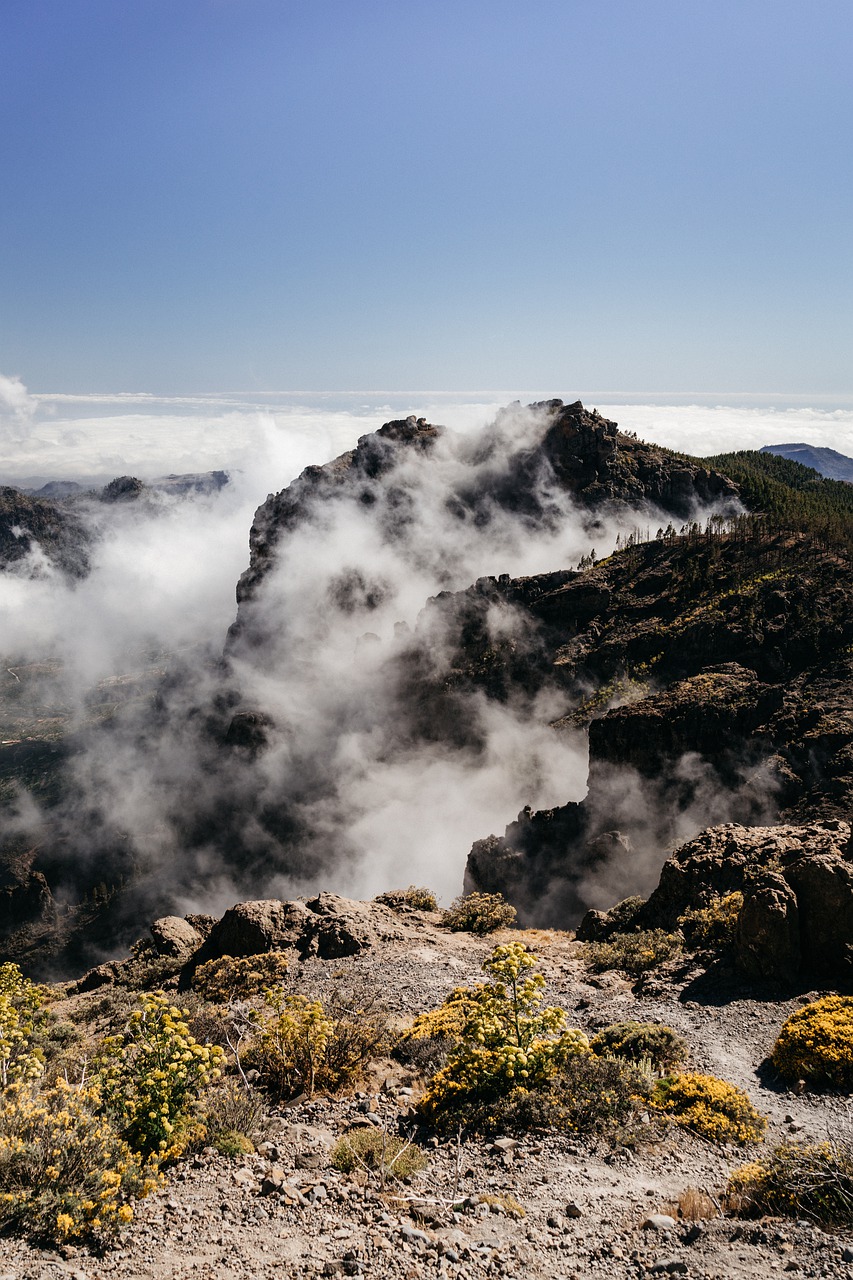 gran canaria  spain  travel free photo