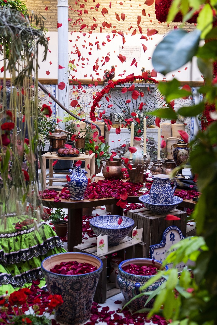 granada  patio  andalusia free photo