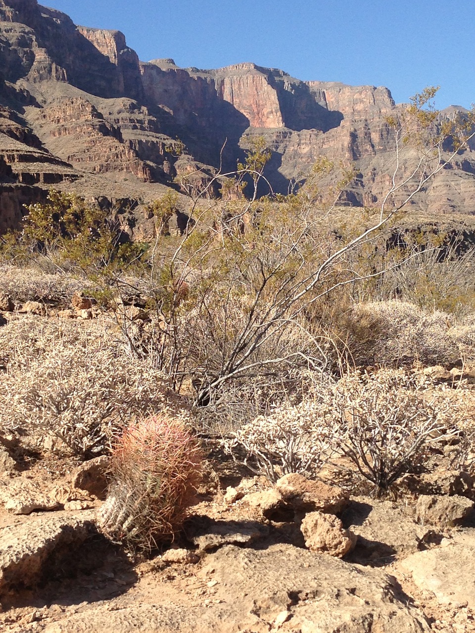 grand canyon rock free photo