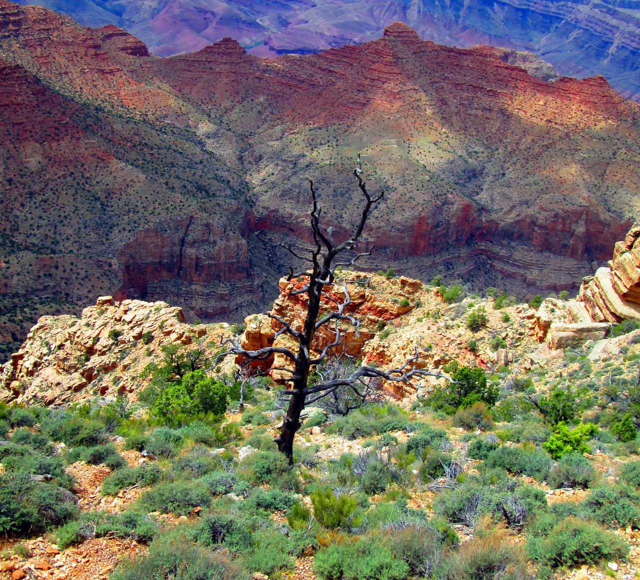 grand canyon arizona canyon free photo