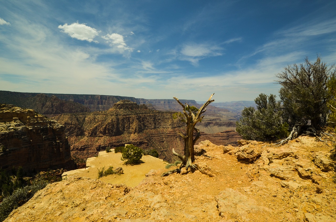 grand canyon arizona usa free photo