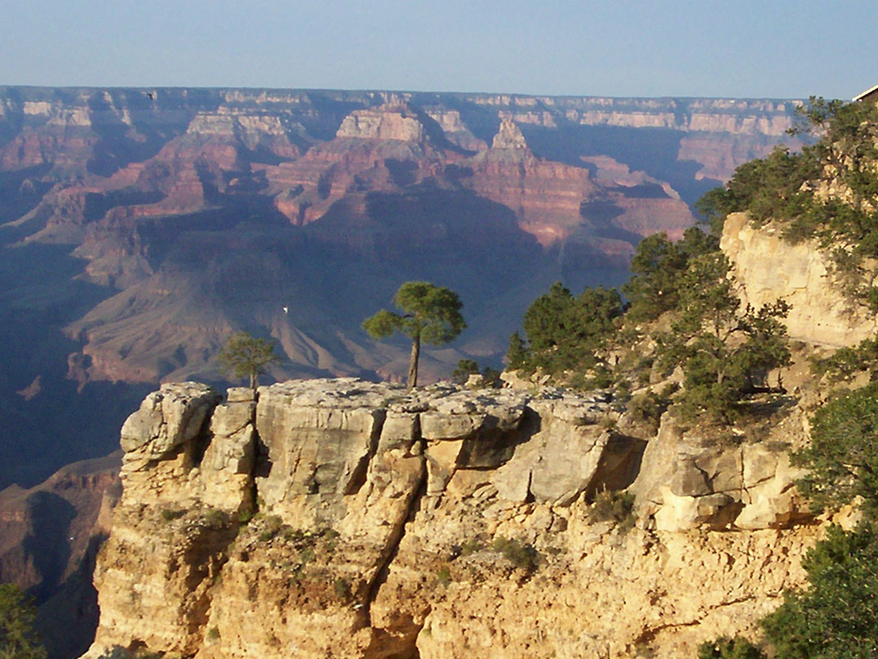 grand canyon canyon sunset free photo