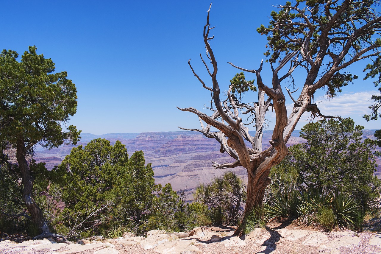 grand canyon landscape nature free photo